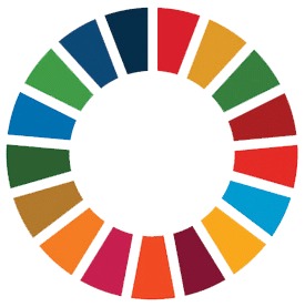 Sustainable Development Goals - Logo